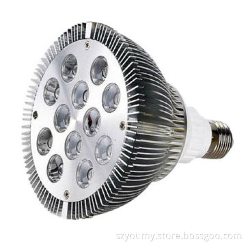 High Power LED Lamp, 12W, Non-dimmable, E27/E26/PAR38, 2 Year Warranty